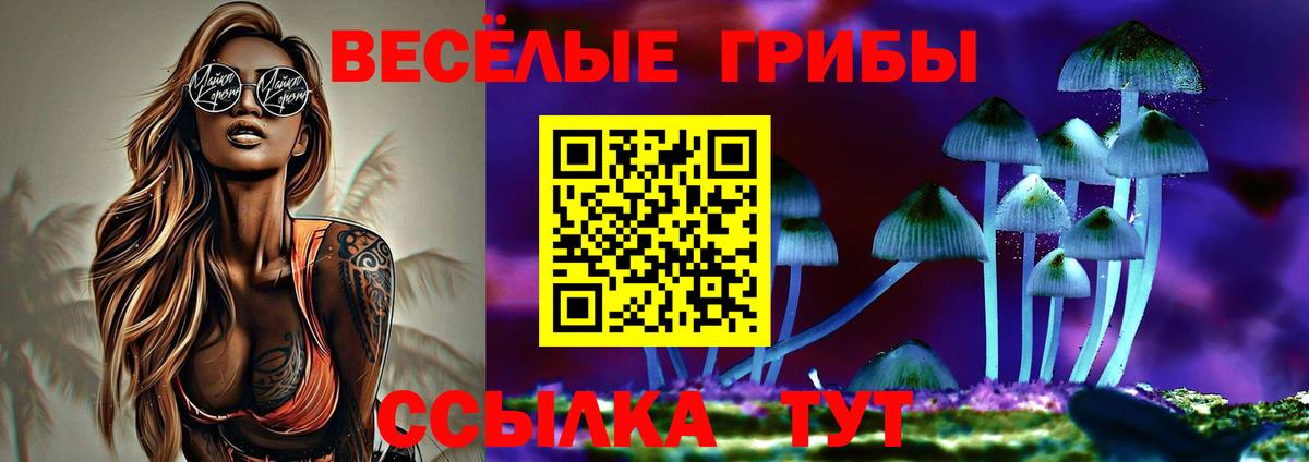 Тобольск  Галлюциногенные грибы Cubensis  Вход с VPN 